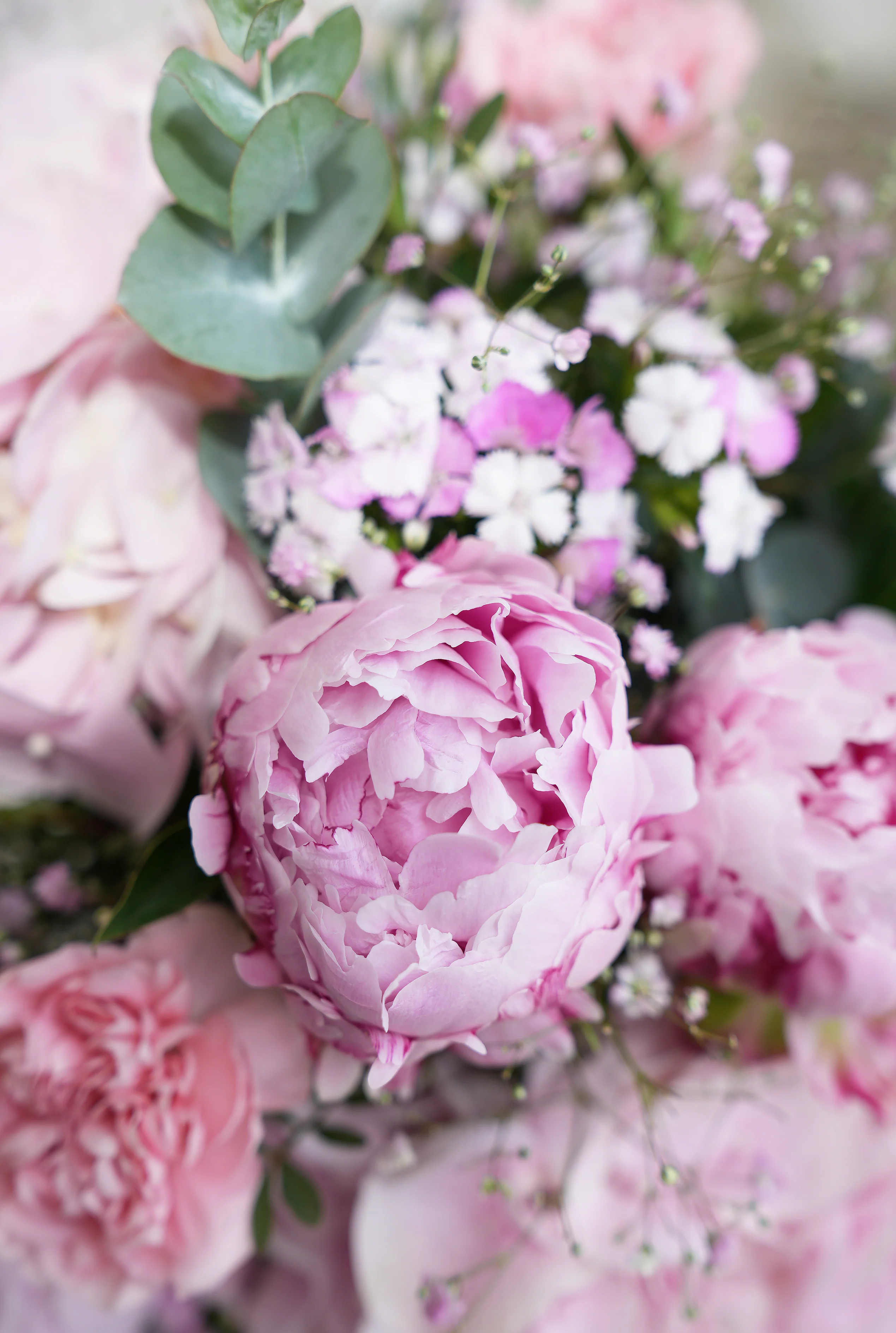 Thank You Peony Pretty Pink - Vase - Image 2